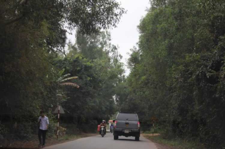 Xóm nhà lá du xuân 2013 miền Trung và Tây Nguyên.