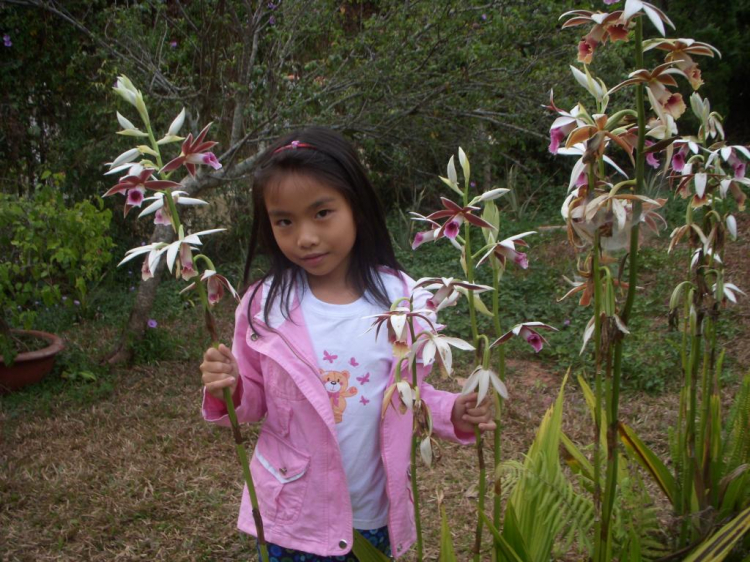 Đà lạt du xuân ký