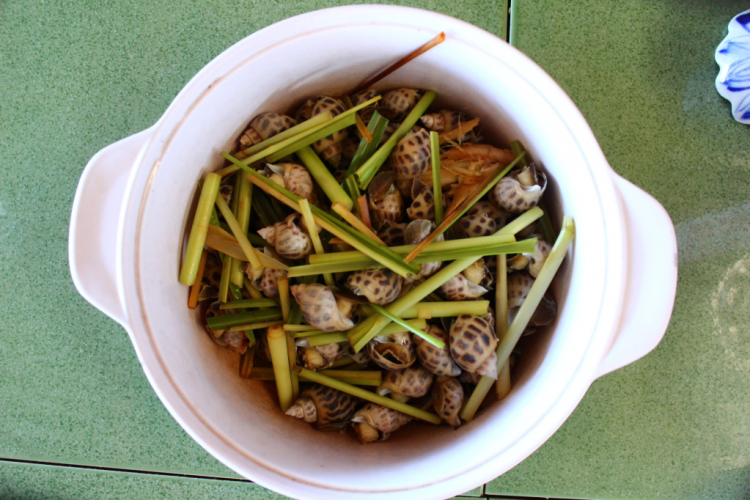 Hình ảnh chuyến Du xuân miền Trung của MAFC năm Quý Tỵ. Hình ảnh chuyến Du xuân miền Trung của MAFC năm Quý Tỵ.