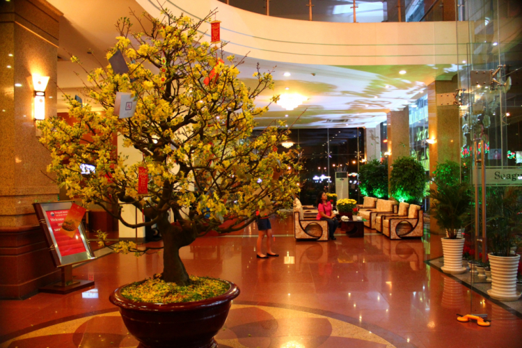 Hình ảnh chuyến Du xuân miền Trung của MAFC năm Quý Tỵ. Hình ảnh chuyến Du xuân miền Trung của MAFC năm Quý Tỵ.