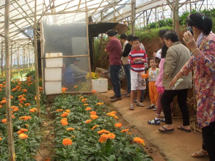 Đà lạt du xuân ký Đà lạt du xuân ký