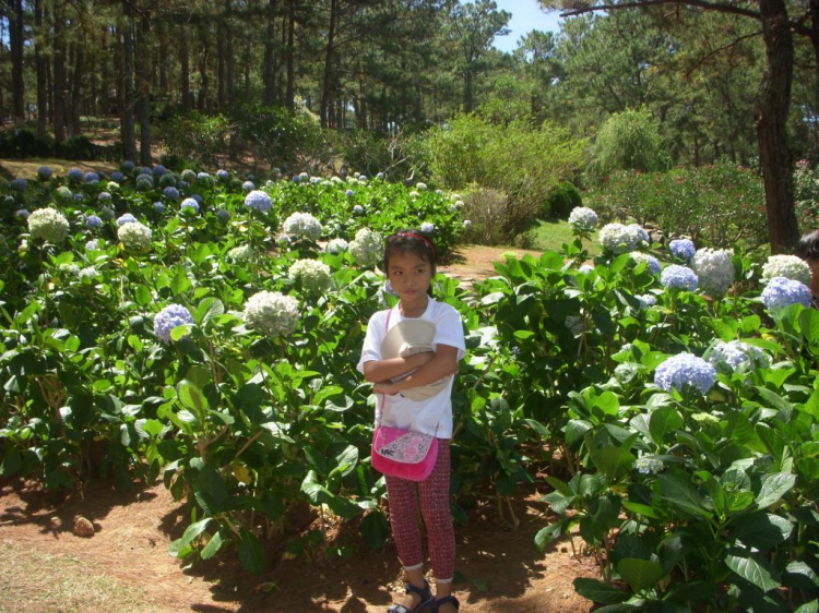 Đà lạt du xuân ký