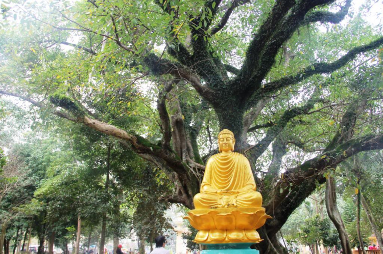 Hình ảnh chuyến Du xuân miền Trung của MAFC năm Quý Tỵ. Hình ảnh chuyến Du xuân miền Trung của MAFC năm Quý Tỵ.
