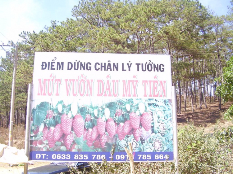 Đà lạt du xuân ký