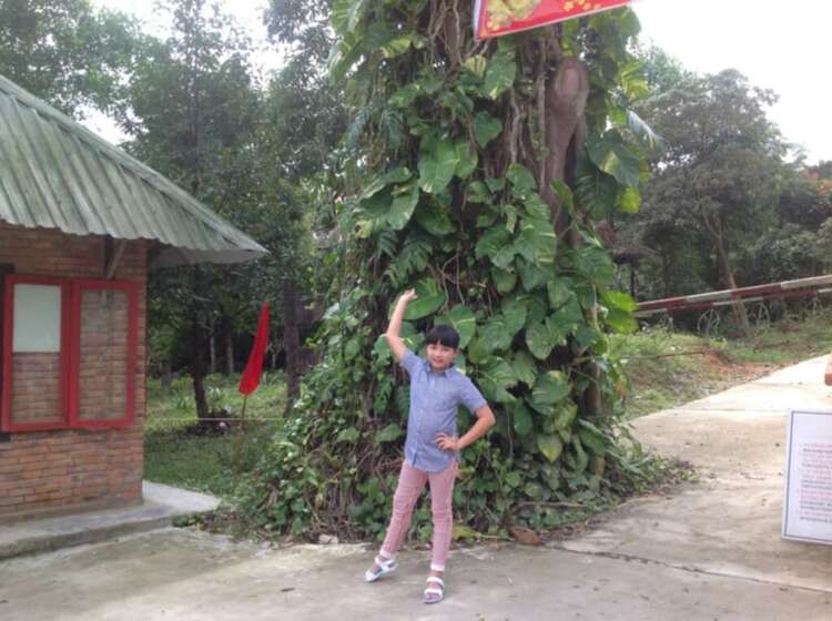 Xóm nhà lá du xuân 2013 miền Trung và Tây Nguyên.