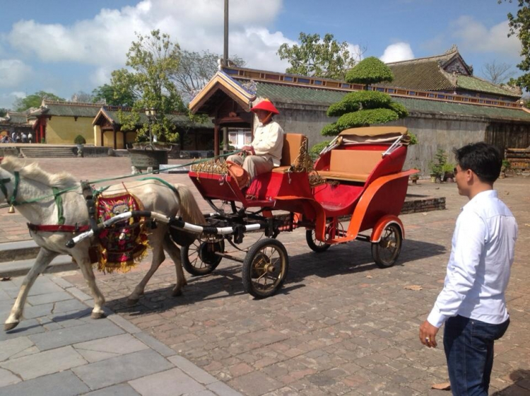 Xóm nhà lá du xuân 2013 miền Trung và Tây Nguyên.