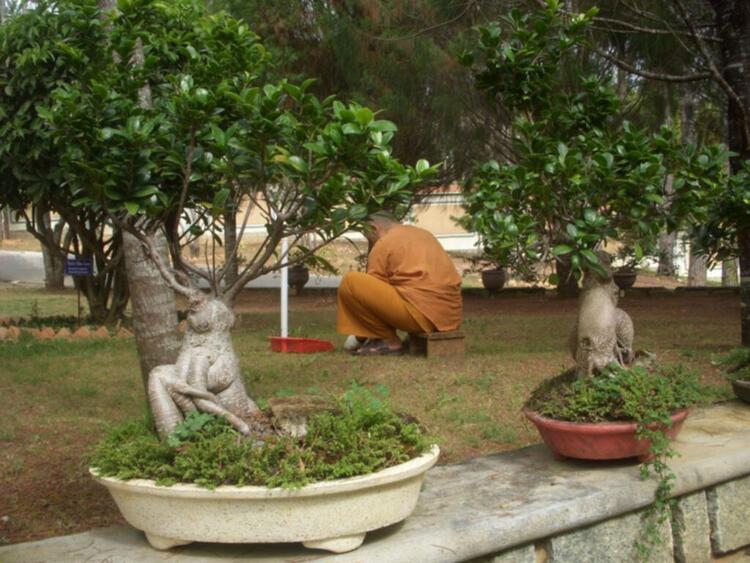 Đà lạt du xuân ký Đà lạt du xuân ký