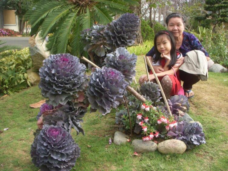 Đà lạt du xuân ký Đà lạt du xuân ký