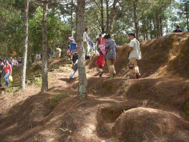 Đà lạt du xuân ký