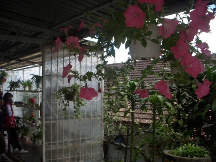 Đà lạt du xuân ký Đà lạt du xuân ký