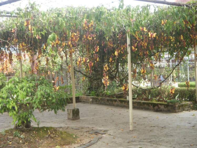 Đà lạt du xuân ký Đà lạt du xuân ký