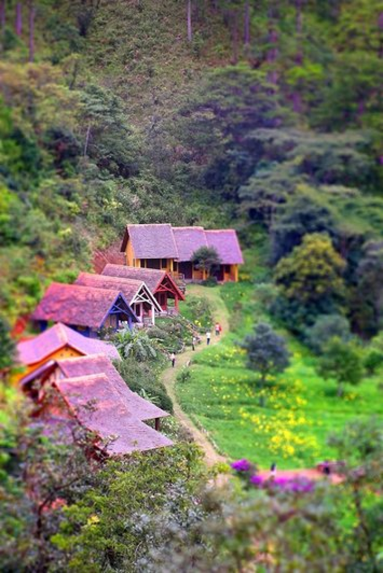DALAT GIỜ CHỈ CÒN TRONG KÝ ỨC DALAT GIỜ CHỈ CÒN TRONG KÝ ỨC