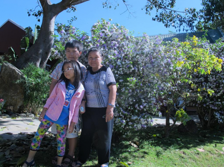 Đà lạt du xuân ký Đà lạt du xuân ký