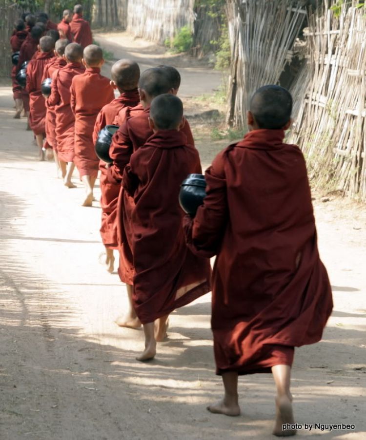 Chớp nhoáng Myanmar Chớp nhoáng Myanmar