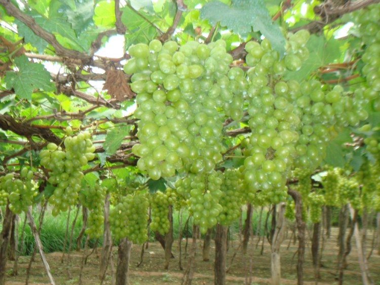 Hành trình xuyên việt 2013 - kèm hình ảnh 2007-2012 (Thanhkap-F117) Hành trình xuyên việt 2013 - kèm hình ảnh 2007-2012 (Thanhkap-F117)