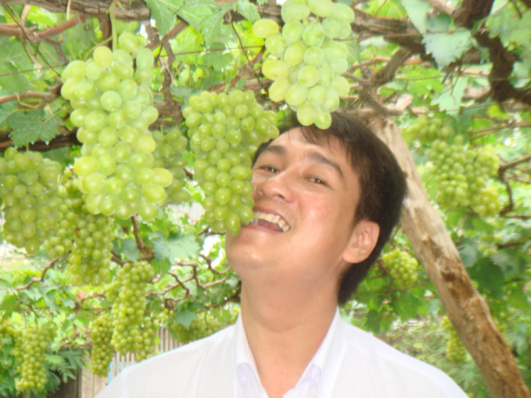 Hành trình xuyên việt 2013 - kèm hình ảnh 2007-2012 (Thanhkap-F117) Hành trình xuyên việt 2013 - kèm hình ảnh 2007-2012 (Thanhkap-F117)