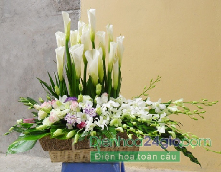 Chúc mừng sinh nhật anh Bell nhé.