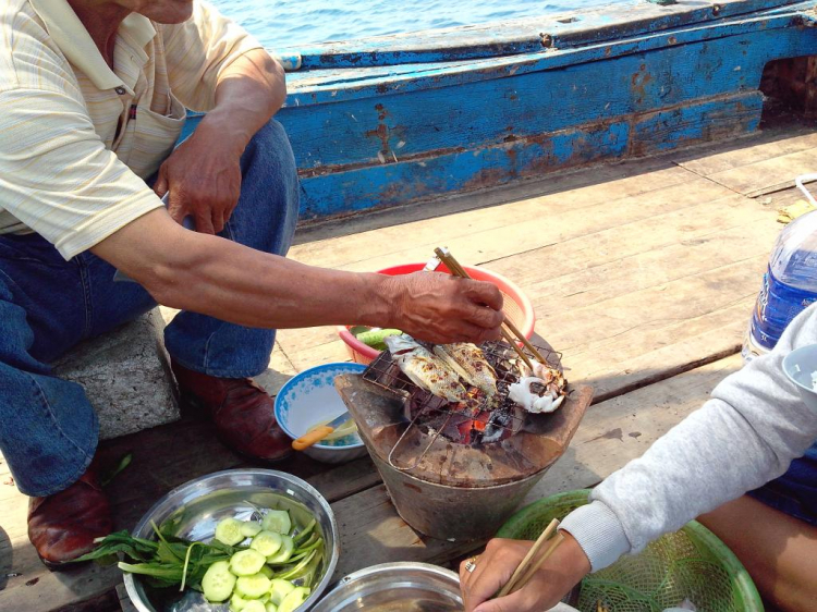 [Nha Trang] Mùa cá cắn câu " Câu cá biển " - Thay chương trình Hang Cọp