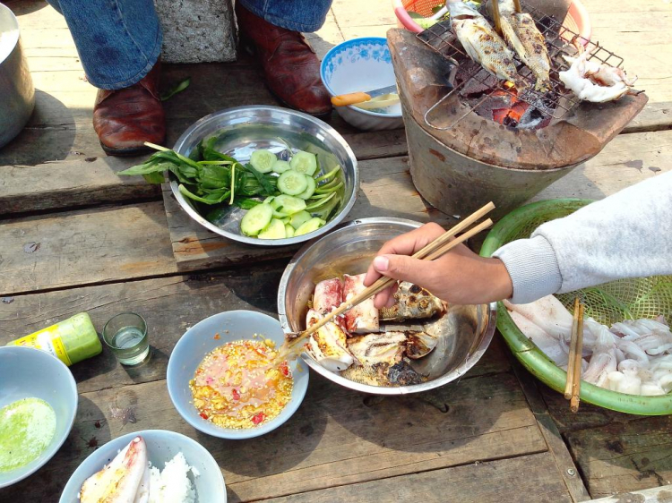 [Nha Trang] Mùa cá cắn câu " Câu cá biển " - Thay chương trình Hang Cọp