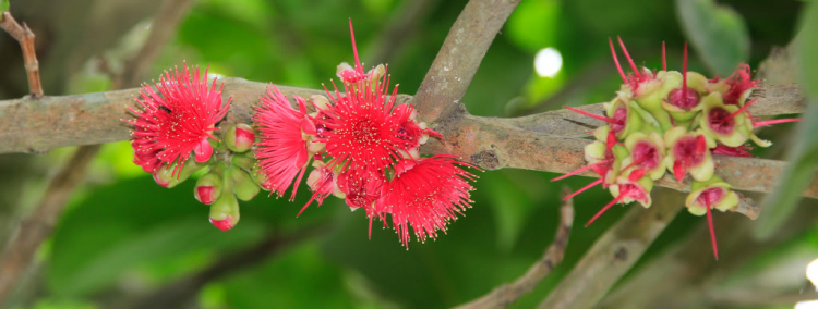 Góc Chụp Ảnh văn nghệ