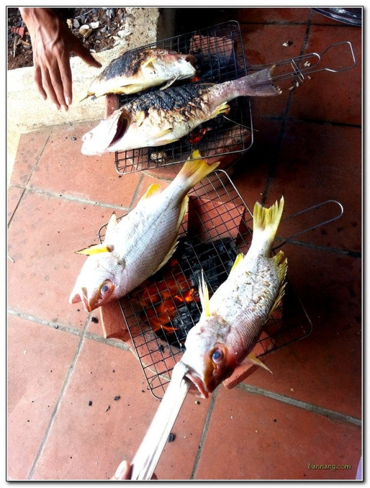 Off 3 kích cuối tuần ở Vũng Tàu Off 3 kích cuối tuần ở Vũng Tàu