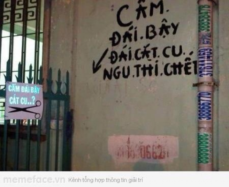 [MSFC] Họp mặt - Tán gẫu - Múc xúc