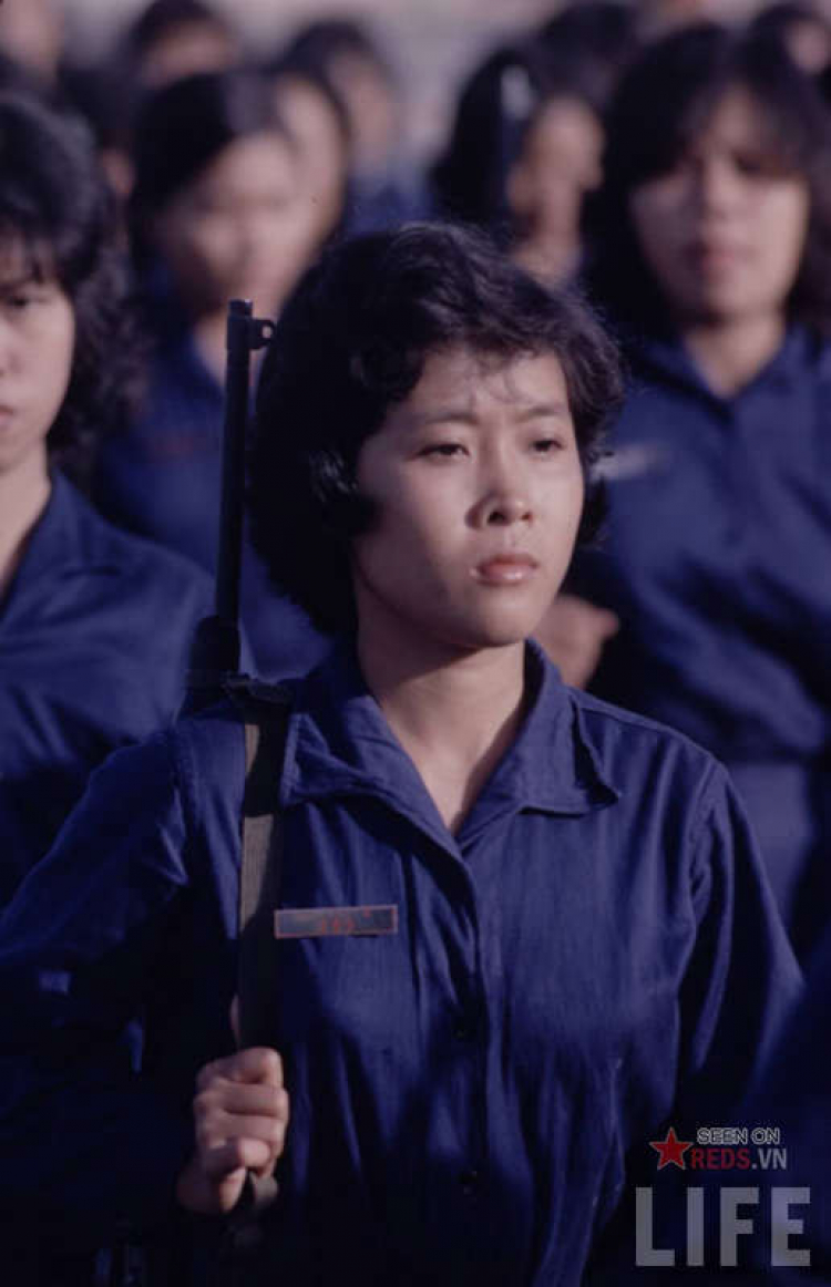 Những hình ảnh về QĐND Việt Nam... Những hình ảnh về QĐND Việt Nam...