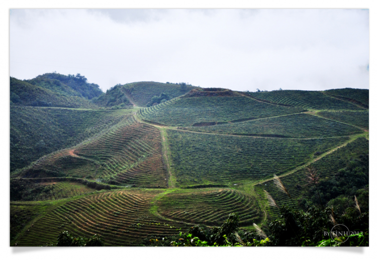 Nhớ em, SAPA!