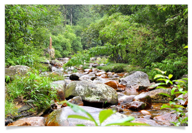 Nhớ em, SAPA!