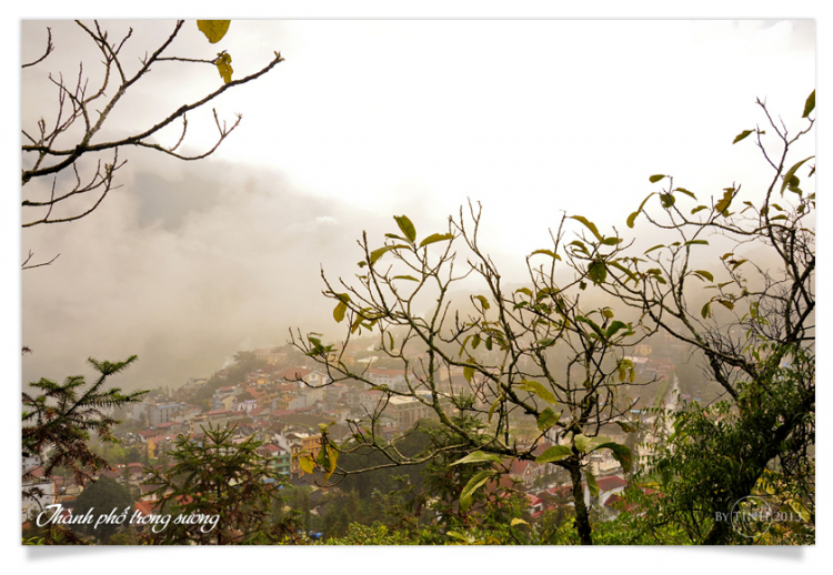 Nhớ em, SAPA!