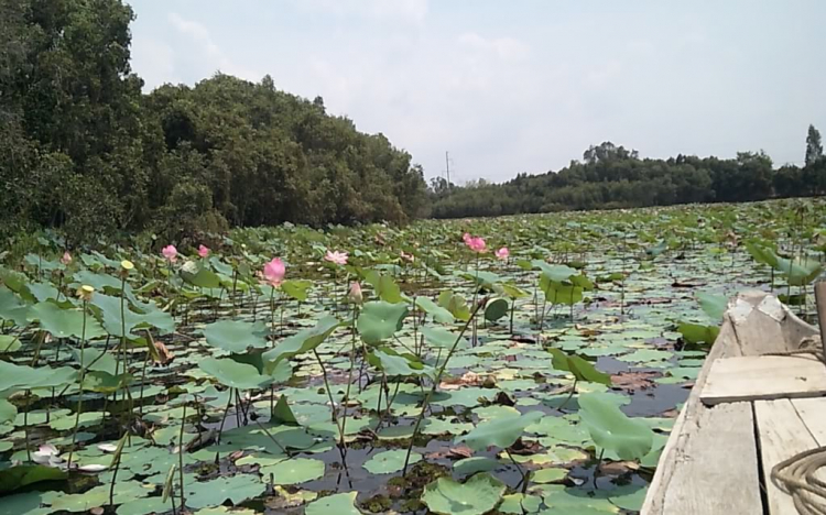 S.O.S - Cafe, off chai nhanh gọn không hẹn trước