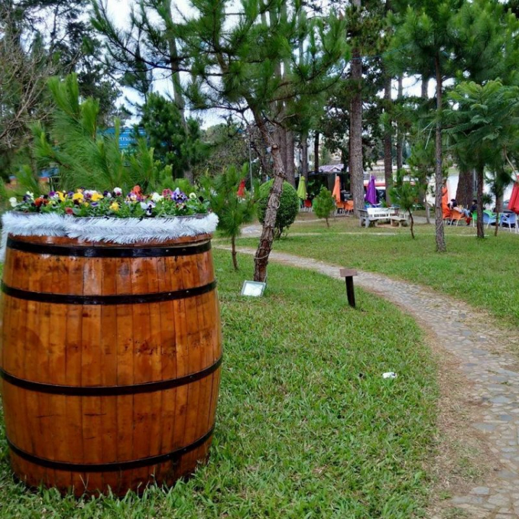 Tổng hợp các thớt về DALAT từ A đến Z Tổng hợp các thớt về DALAT từ A đến Z