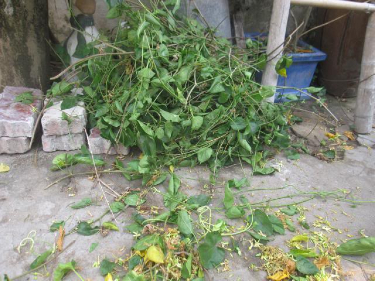 TÂM SỰ NGƯỜI GIÀ TÂM SỰ NGƯỜI GIÀ