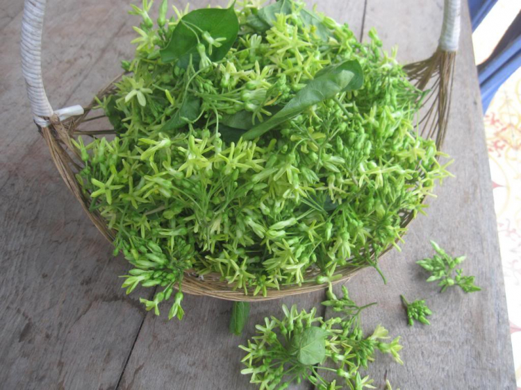 TÂM SỰ NGƯỜI GIÀ TÂM SỰ NGƯỜI GIÀ