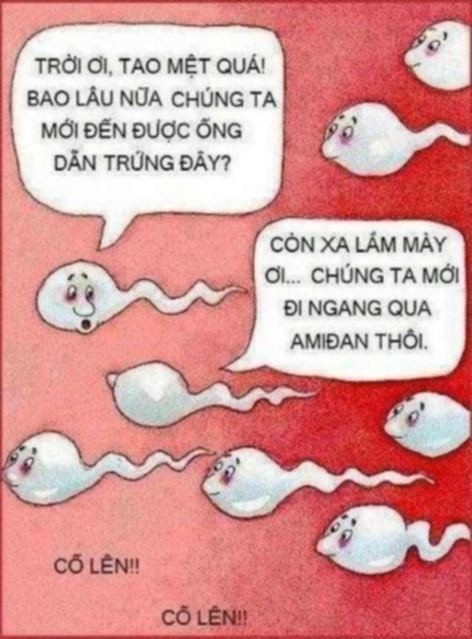 [MSFC] Họp mặt - Tán gẫu - Múc xúc