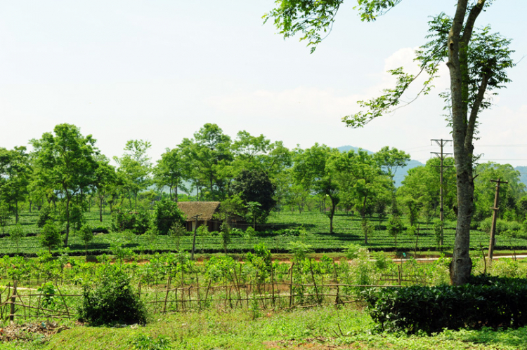 Xuyên Việt Tết 2013