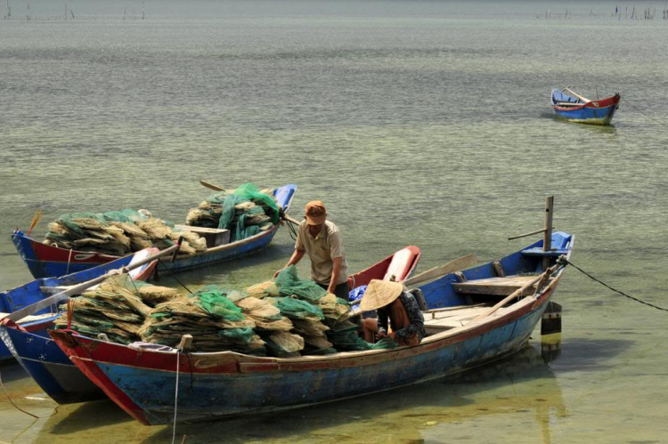 Xuyên Việt Tết 2013 Xuyên Việt Tết 2013