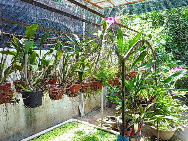 Asia kể chuyện... Asia kể chuyện...