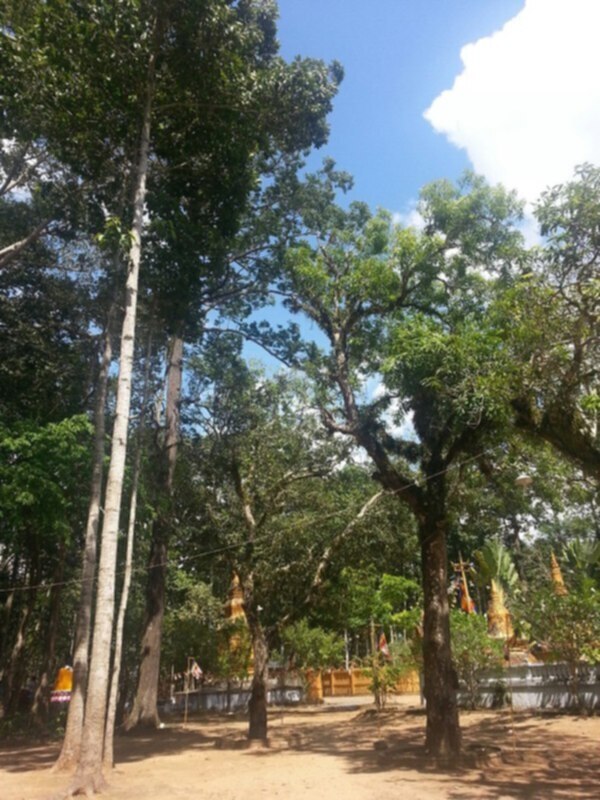 Phượt trên diễn đàn nhà mình Phượt trên diễn đàn nhà mình