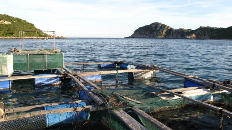 Chuyến đi "Trở lại Phố Biển Nha Trang" (28/4>1/5/2013)_THTT từ trang 5