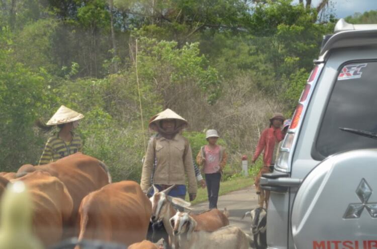 Xuống biển lên rừng (mừng) giải phóng miền Nam (bảng thu chi P.49)