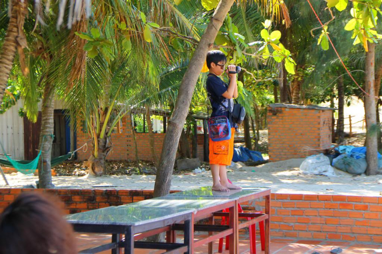 Hình ảnh Off: "Trở lại Phố Biển Nha Trang" 28/04-01/05/2013 Hình ảnh Off: "Trở lại Phố Biển Nha Trang" 28/04-01/05/2013