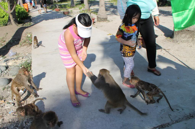 Hình ảnh Off: "Trở lại Phố Biển Nha Trang" 28/04-01/05/2013