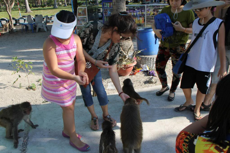 Hình ảnh Off: "Trở lại Phố Biển Nha Trang" 28/04-01/05/2013