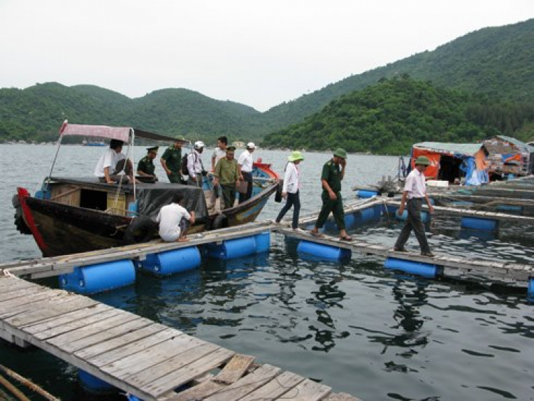 Quà tặng mùa thi : Vùng vẫy biển Long Hải_1/6