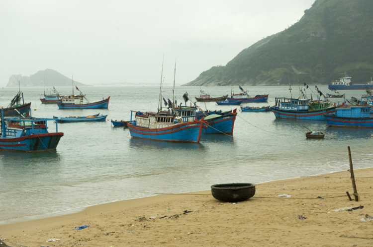 Xuyên Việt Tết 2013