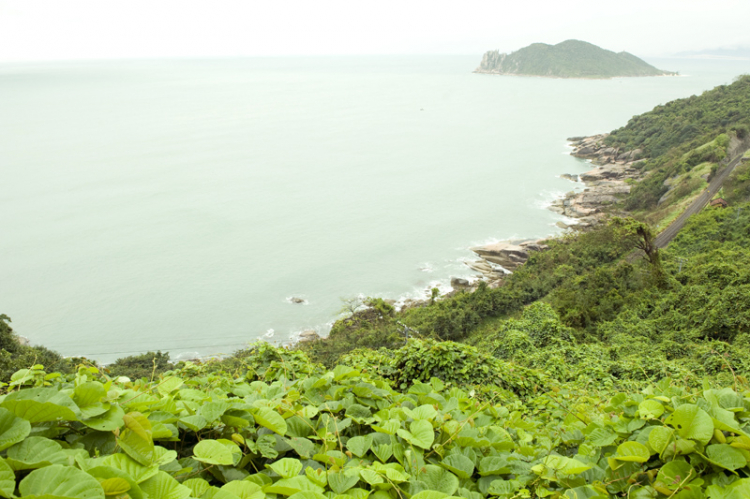 Xuyên Việt Tết 2013