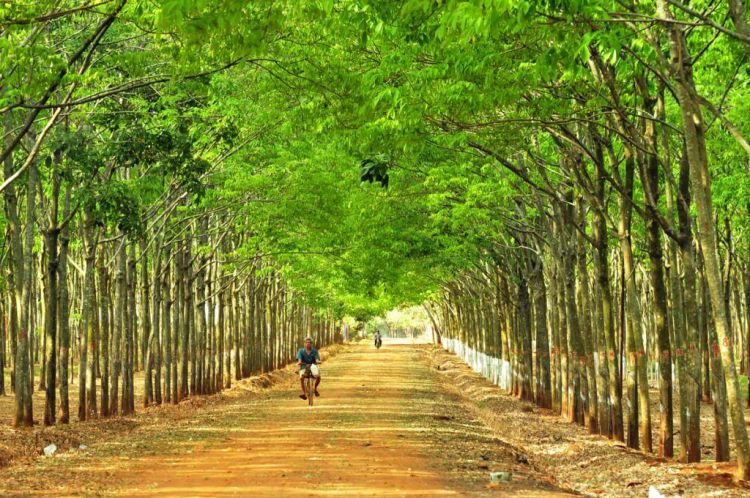 Xuyên Việt Tết 2013 Xuyên Việt Tết 2013