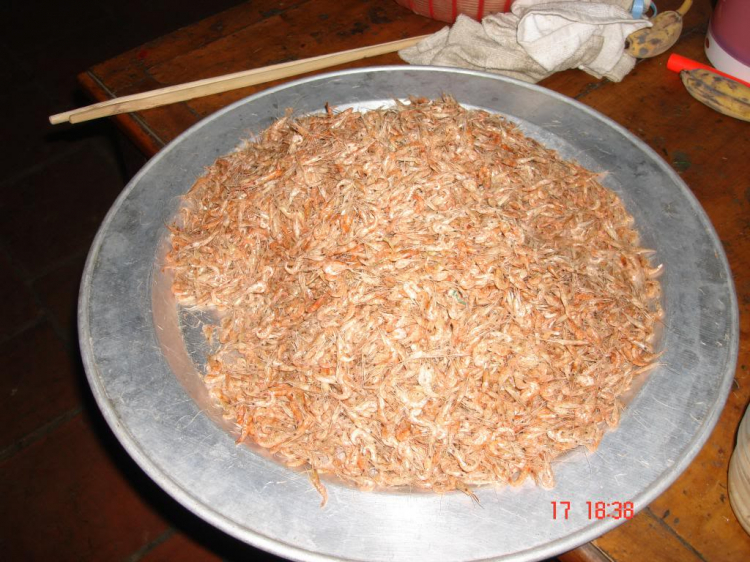 Trao Tặng nhà TT thứ 04 tại Bắc Giang, huyện Lang Giang