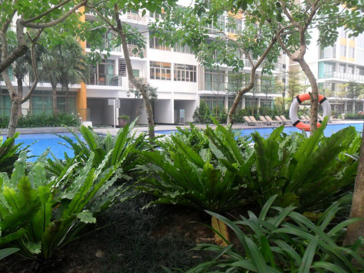 Một ngày ở The Vista Một ngày ở The Vista
